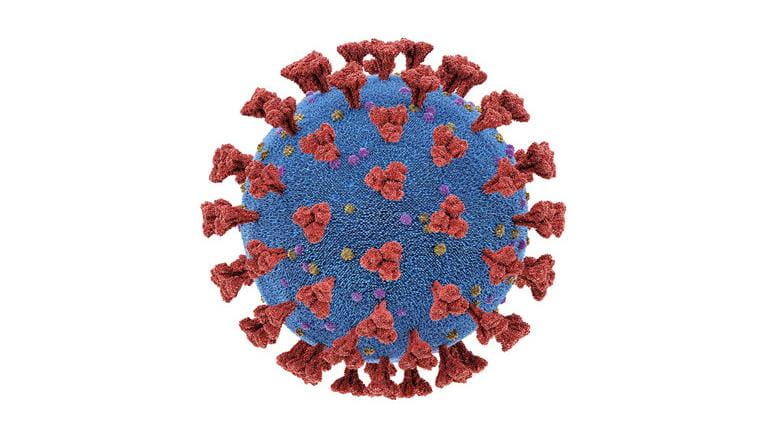 coronavirus on white background