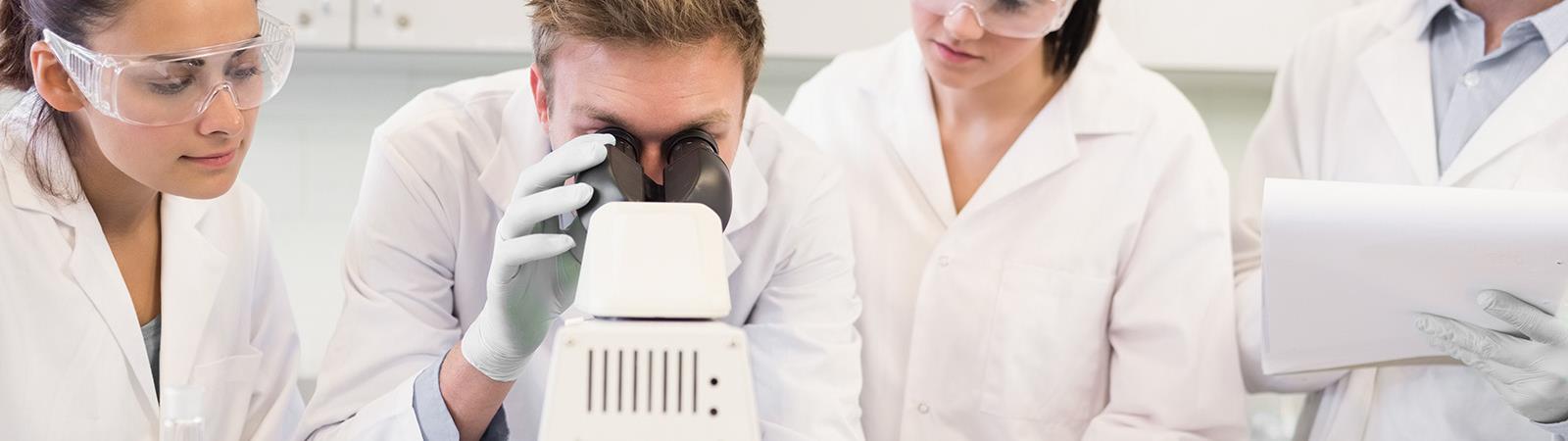 Young scientist in a lab working together