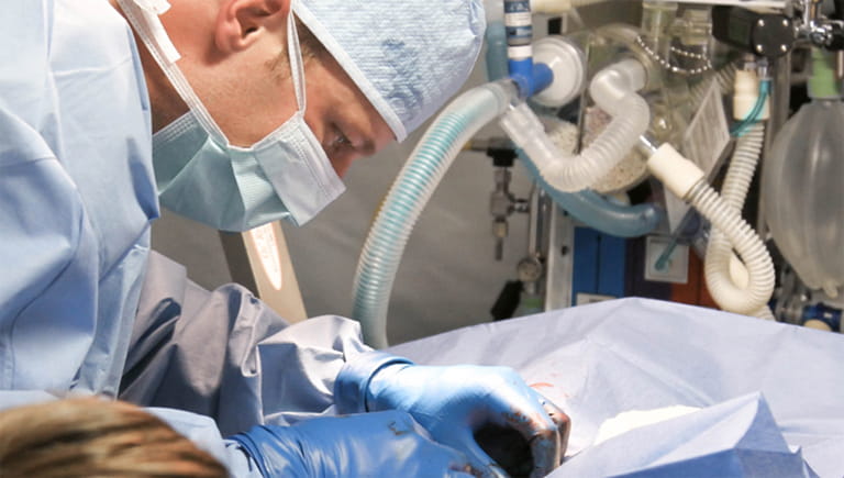 Transplant surgeon