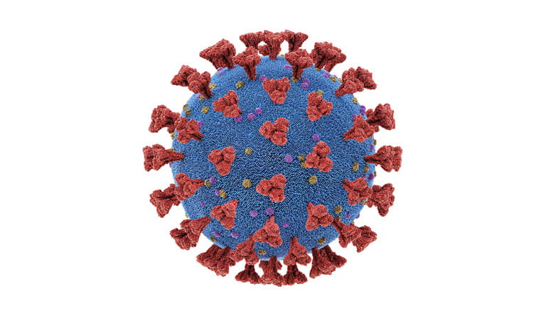 Notre Implication Dans La Guerre Contre Le Coronavirus