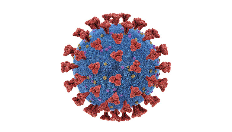 coronavirus